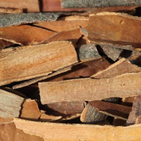 Buy Authentic Cinnamomum Zeylanicum and C. Verum - True Cinnamon Tree Plant