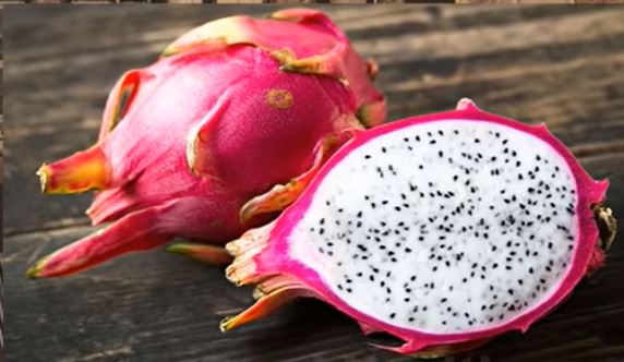 Dragon Fruit white flesh- Fruit Plants