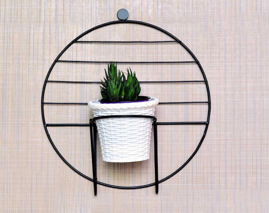 Unique Wall Mounted Planter