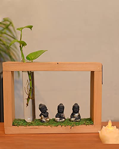 Money Plant Wooden Stand with 3 Buddha Figurine (Combo Offer)