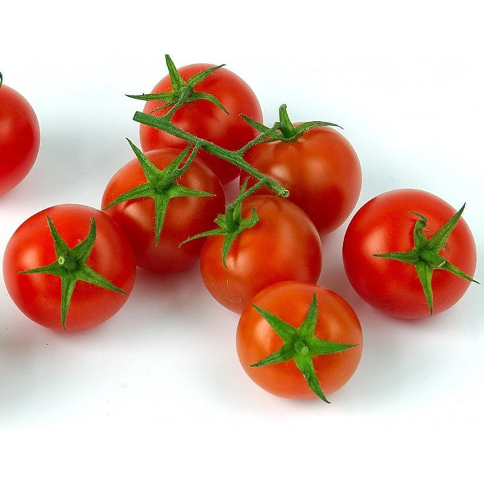 Cherry Tomato-Vegetable Seeds