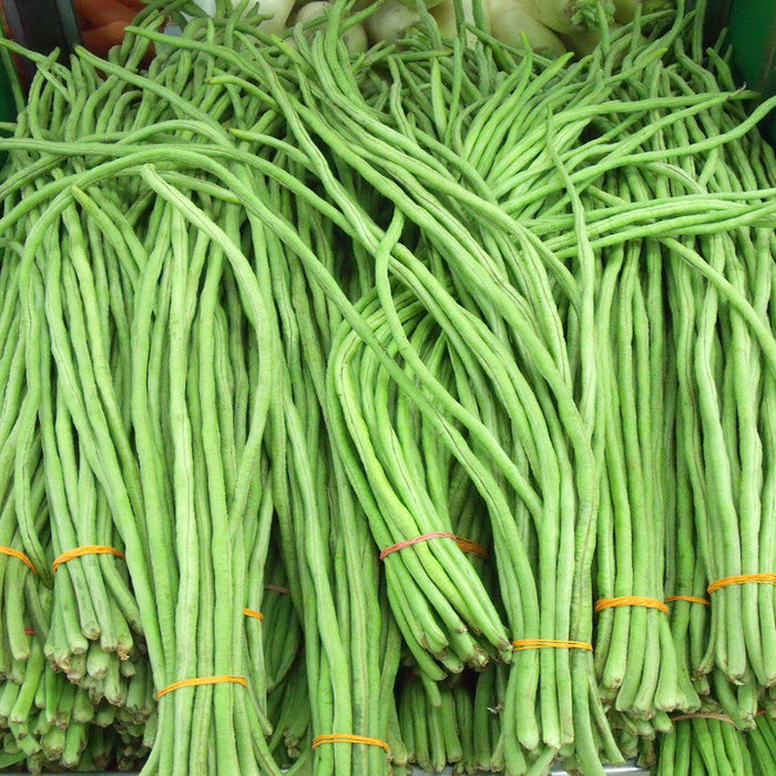 Yard Long Bean-Vegetable Seeds