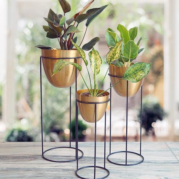 Unique Golden Ovate Tall Metal Planters (Set of 3)