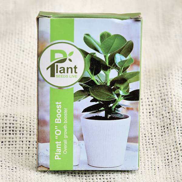 Plant O Boost (Overall Growth Booster, 10 g) (set of 10)