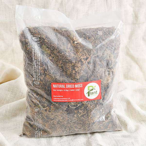 Natural Dried Moss ( 0.5 kg )