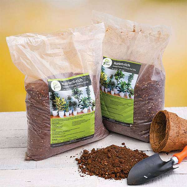 Nutrient-rich general purpose potting soil mix - 5 kg (Set of 2)