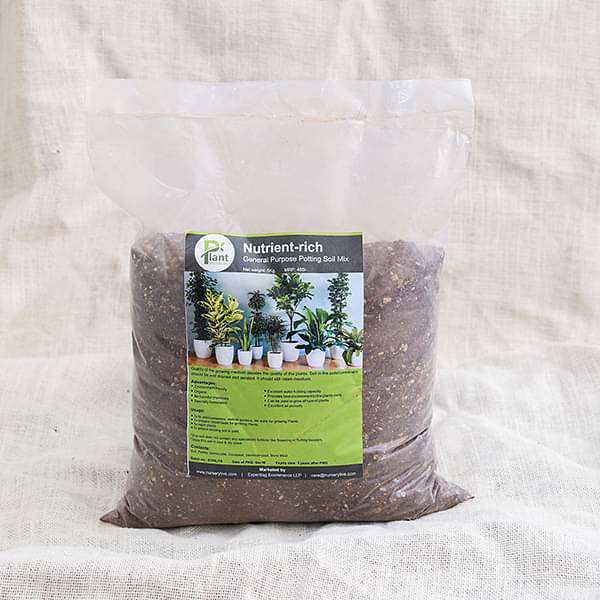 Nutrient-rich general purpose potting soil mix - 5 kg
