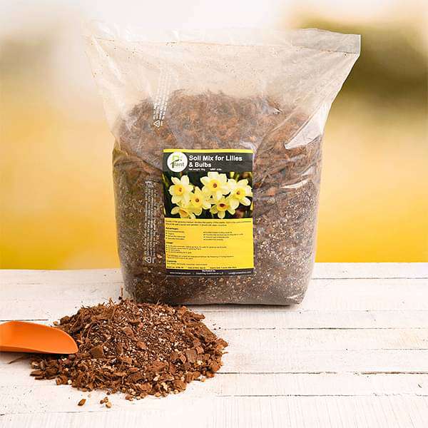 Potting Soil Mix for Lilies and Bulbs - 5 kg