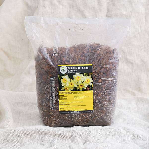 Potting Soil Mix for Lilies and Bulbs - 5 kg