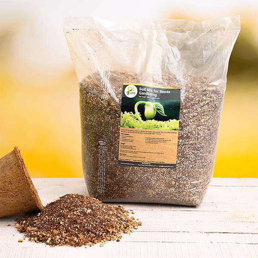 Buy Natural Dried Moss ( 0.5 kg ) online from Nurserylive at