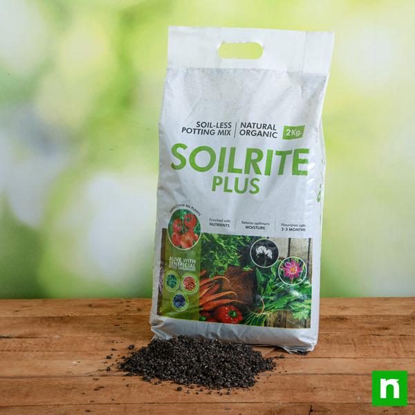 Soilrite Plus (Soil-less Potting Mix with Nutrients) - 2 kg