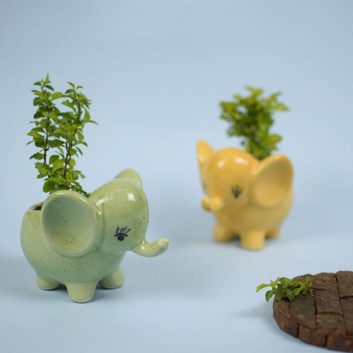 Mini Elephant Planter in Green